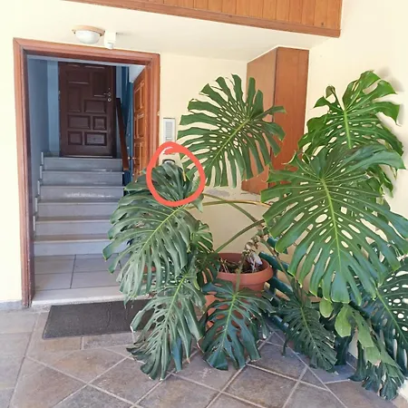 Penthouse Apartament *