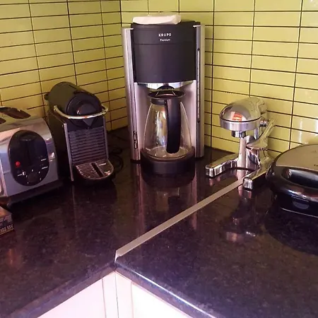 Penthouse * 하니아